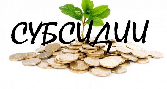 Предприниматели Хабаровска могут получить субсидию на компенсацию части затрат