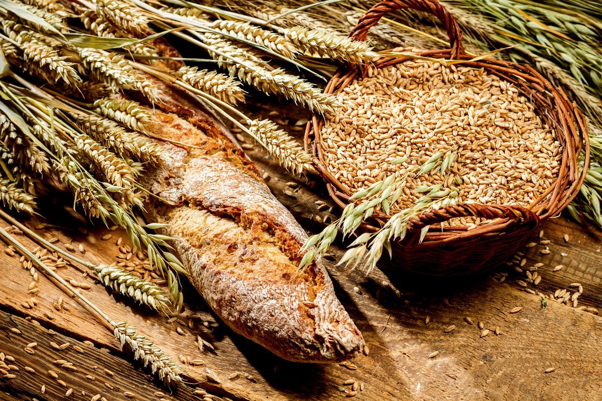 Россия и Китай подписали протоколы о фитосанитарных требованиях к зерновым культурам, экспортируемым в КНР