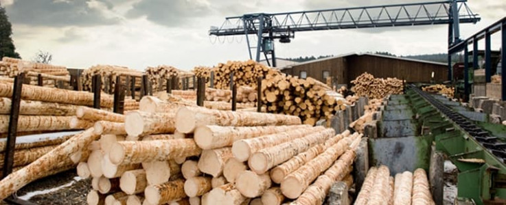 Меры государственной поддержки предприятий лесной промышленности.