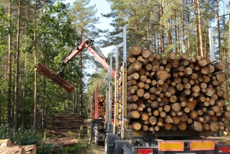 Запрет на вывоз из Российской Федерации необработанной и грубо обработанной древесины хвойных и ценных лиственных пород введут с 1 января 2022 г.
